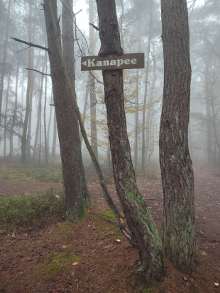 Leistadt, 
Sieben-Waldwunder-Weg,
10. November 2024 